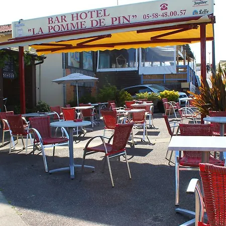 De La Pomme De Pin Vieux-Boucau-les-Bains